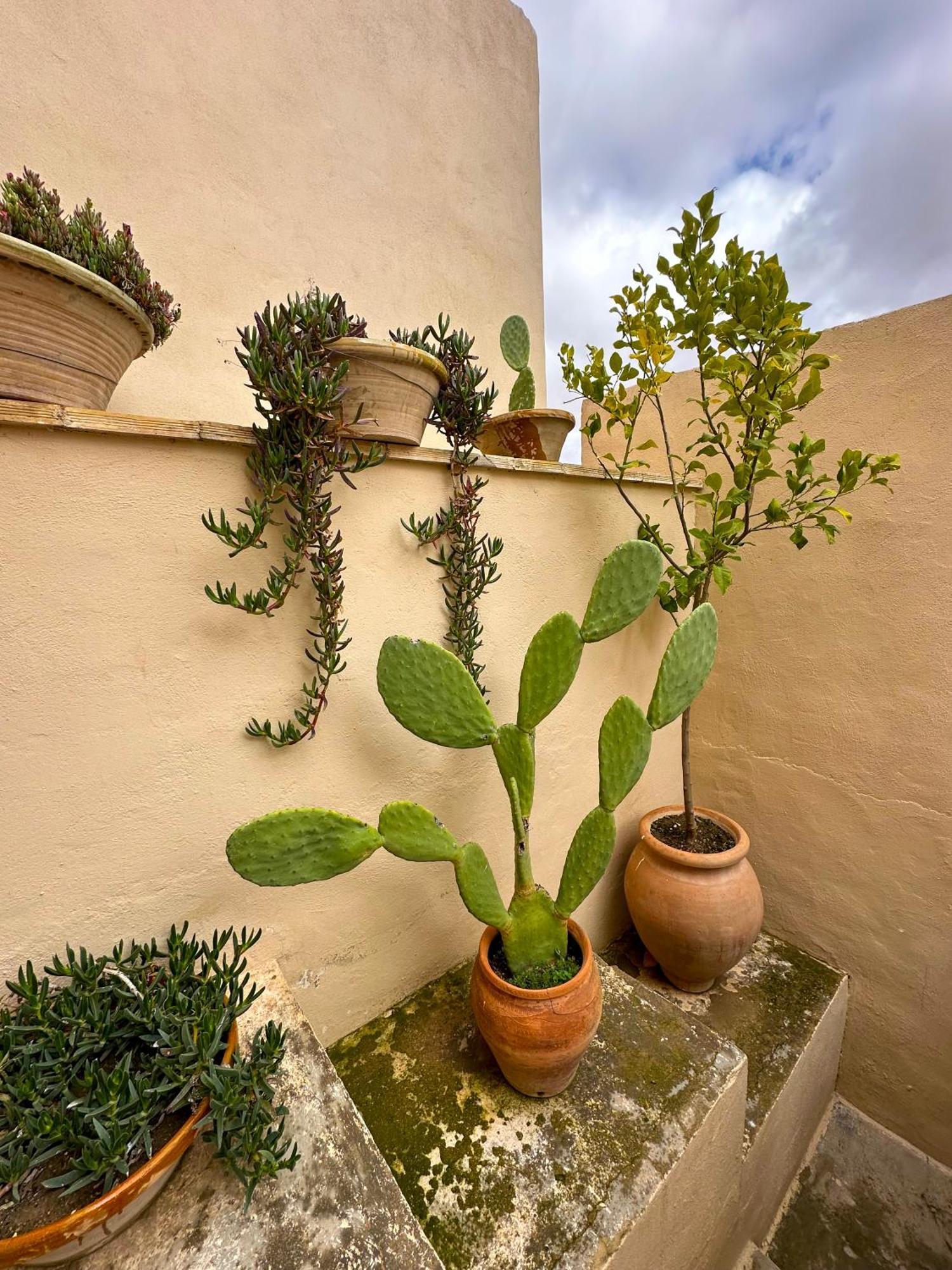 Casa Rural Del Juez Alcala del Jucar Exteriör bild